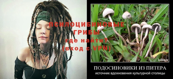 кокс Армянск