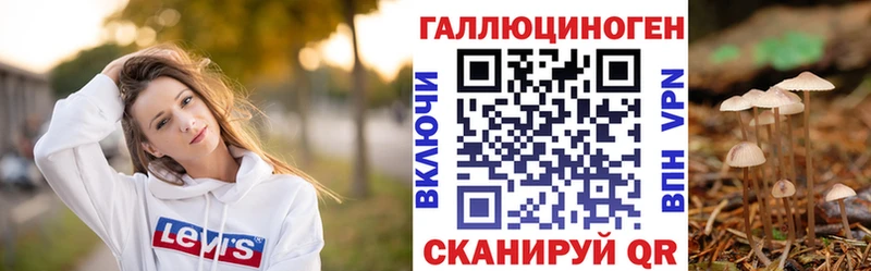 Псилоцибиновые грибы Cubensis  Хилок 